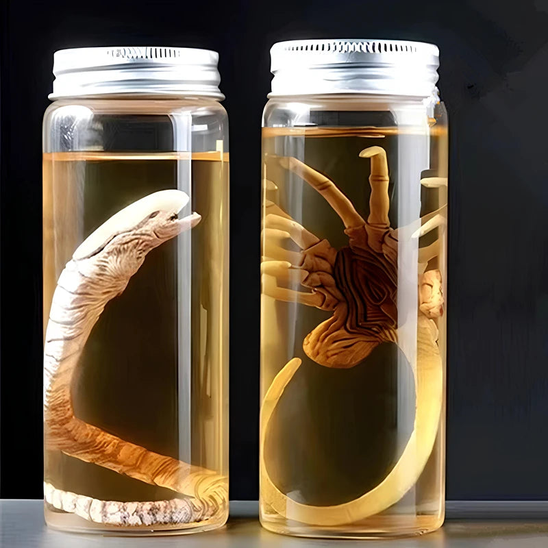 Xenomorph Facehugger Embryo Jar Prop