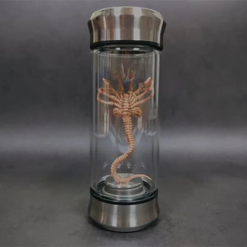 Xenomorph Facehugger Embryo Glass Jar Prop
