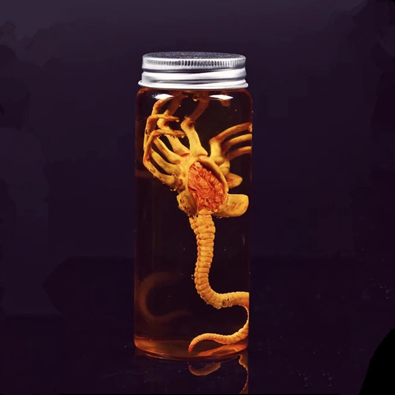 Xenomorph Facehugger Embryo Jar Prop