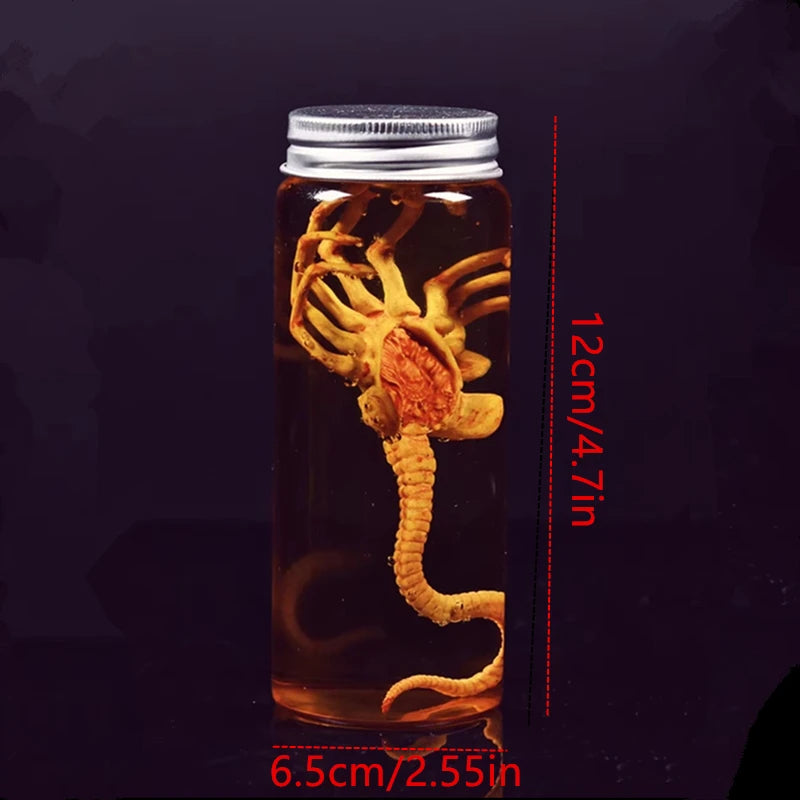 Xenomorph Facehugger Embryo Jar Prop